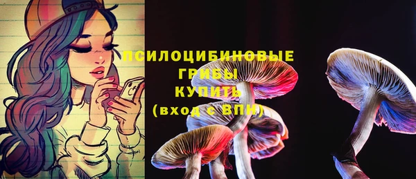 таблы Лиски