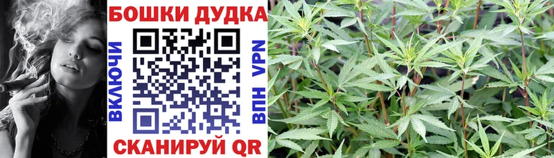 Марихуана сатива  купить закладку  Чистополь 